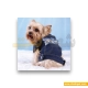  لباس حیوانات سگ داگی دالی<br>DoggyDolly Pet Clothes