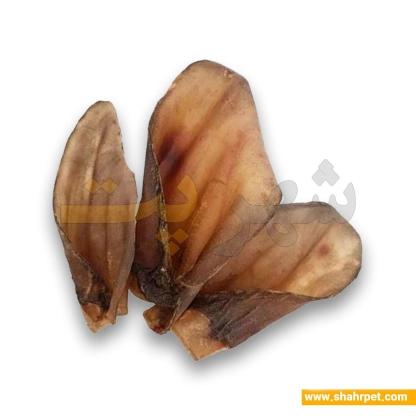 تشویقی سگ گوش گاو سویل