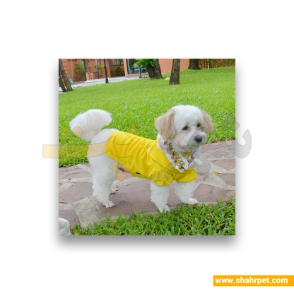لباس حیوانات سگ داگی دالی<br>DoggyDolly Pet Clothes