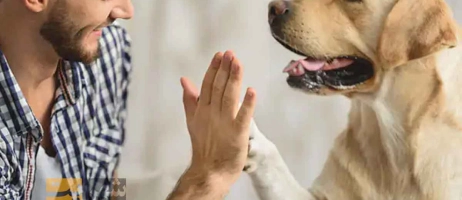 آیا نگهداری از حیوان خانگی خوب است؟