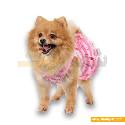 لباس حیوانات سگ داگی دالی<br>DoggyDolly Pet Clothes