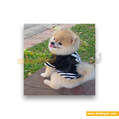 لباس حیوانات سگ داگی دالی<br>DoggyDolly Pet Clothes
