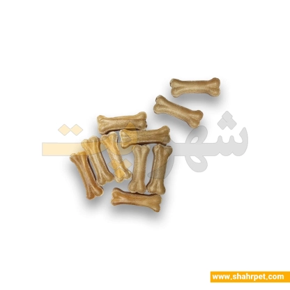 استخوان تشویقی سگ شهرپت مدل B2