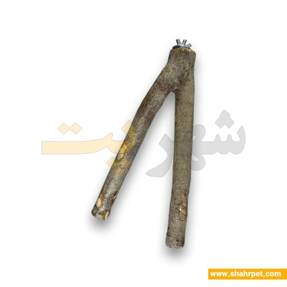 چوب نشیمن طبیعی پرندگان شهرپت دو شاخه
