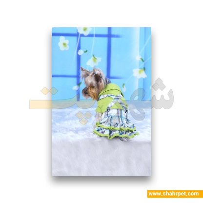 لباس حیوانات سگ داگی دالی<br>DoggyDolly Pet Clothes
