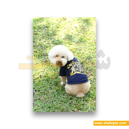 لباس حیوانات سگ داگی دالی<br>DoggyDolly Pet Clothes