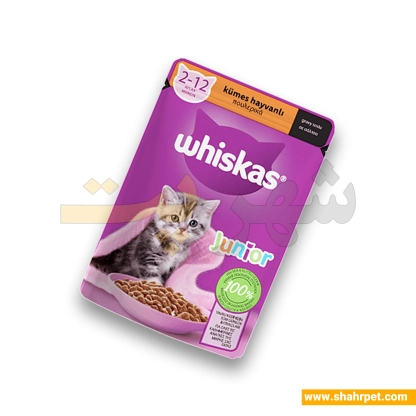 پوچ بچه گربه ویسکاس طعم ماکیان