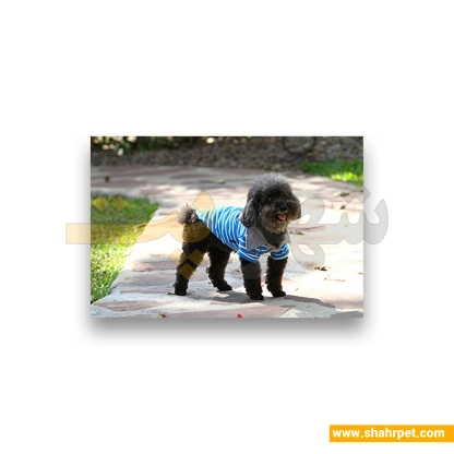لباس حیوانات سگ داگی دالی<br>DoggyDolly Pet Clothes