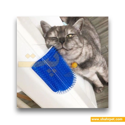 برس و ماساژور دیواری گربه کت ایت