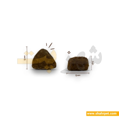 غذای خشک گربه سانابل ایندور وزن ۲ کیلوگرم