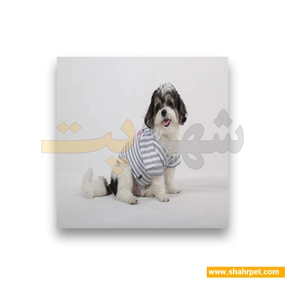 لباس حیوانات سگ داگی دالی<br>DoggyDolly Pet Clothes