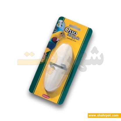 کف دریا پرندگان پادوان