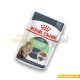پوچ گربه دایجست سنستیو رویال کنین