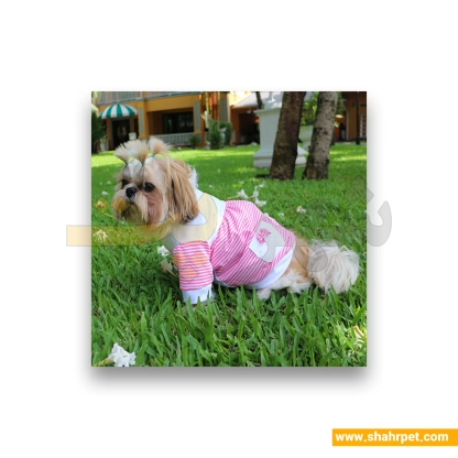 لباس حیوانات سگ داگی دالی<br>DoggyDolly Pet Clothes