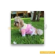 لباس حیوانات سگ داگی دالی<br>DoggyDolly Pet Clothes