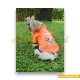  لباس بارانی حیوانات سگ داگی دالی<br>DoggyDolly Dog RainCoat