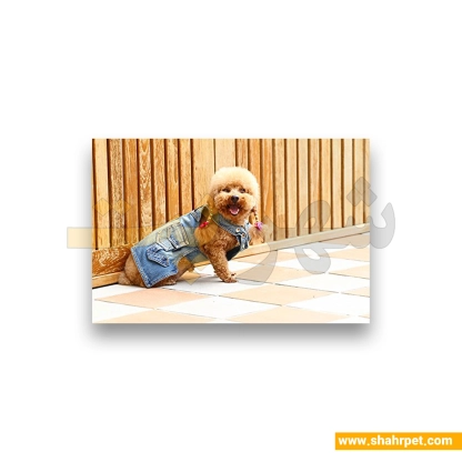 لباس حیوانات سگ داگی دالی<br>DoggyDolly Pet Clothes