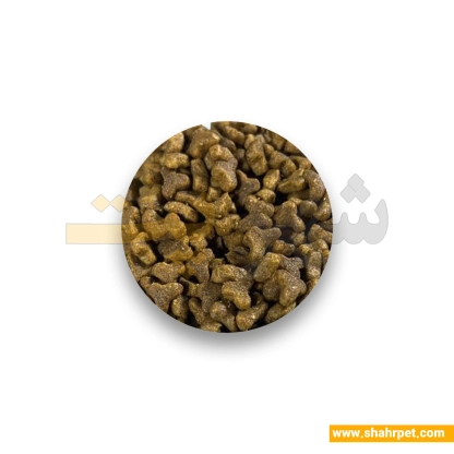 غذای خشک بچه گربه رفلکس مرغ و برنج وزن ۲ کیلوگرم