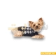  لباس حیوانات سگ داگی دالی<br>DoggyDolly Pet Clothes