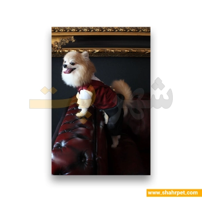 لباس حیوانات سگ داگی دالی<br>DoggyDolly Pet Clothes