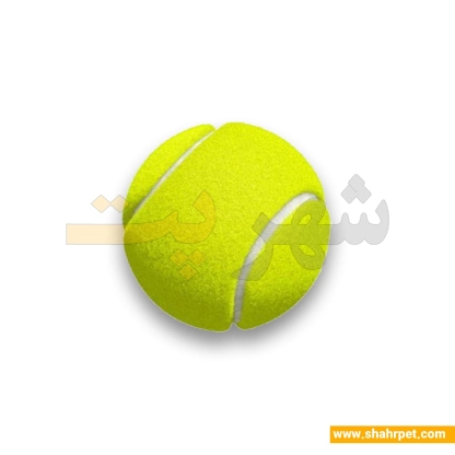 اسباب بازی توپ تنیس سگ