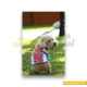  لباس حیوانات سگ داگی دالی<br>DoggyDolly Pet Clothes
