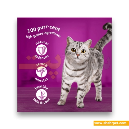 پوچ گربه ویسکاس طعم بره