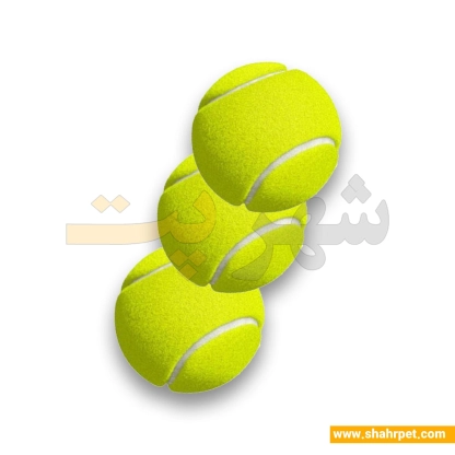 اسباب بازی توپ تنیس سگ