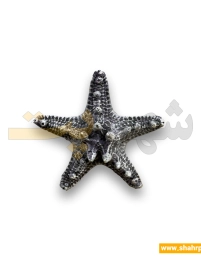 دکور پلی استر آکواریوم ستاره دریایی کوچک