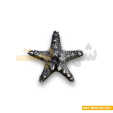 دکور پلی استر آکواریوم ستاره دریایی کوچک