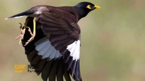 &Oslash;&uml;&Ugrave;&Dagger;&Oslash;&ordf;&Oslash;&plusmn;&Ucirc;&OElig;&Ugrave;&dagger; &Oslash;&plusmn;&Ugrave;&circ;&Oslash;&acute;&acirc;&euro;&OElig;&Ugrave;&Dagger;&Oslash;&sect;&Ucirc;&OElig; &Oslash;&ordf;&Oslash;&ordm;&Oslash;&deg;&Ucirc;&OElig;&Ugrave;&Dagger; &Ugrave;&hellip;&Oslash;&plusmn;&Oslash;&ordm; &Ugrave;&hellip;&Ucirc;&OElig;&Ugrave;&dagger;&Oslash;&sect; &Oslash;&uml;&Oslash;&plusmn;&Oslash;&sect;&Ucirc;&OElig; &Oslash;&sup3;&Ugrave;&bdquo;&Oslash;&sect;&Ugrave;&hellip;&Oslash;&ordf; &Ugrave;&circ; &Oslash;&acute;&Oslash;&sect;&Oslash;&macr;&Oslash;&sect;&Oslash;&uml;&Ucirc;&OElig;