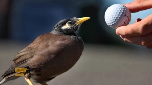 &Oslash;&sect;&Oslash;&sup3;&Oslash;&uml;&Oslash;&sect;&Oslash;&uml;&acirc;&euro;&OElig;&Oslash;&uml;&Oslash;&sect;&Oslash;&sup2;&Ucirc;&OElig;&acirc;&euro;&OElig;&Ugrave;&Dagger;&Oslash;&sect;&Ucirc;&OElig; &Ugrave;&hellip;&Oslash;&shy;&Oslash;&uml;&Ugrave;&circ;&Oslash;&uml; &Oslash;&uml;&Oslash;&plusmn;&Oslash;&sect;&Ucirc;&OElig; &Ugrave;&hellip;&Oslash;&plusmn;&Oslash;&ordm; &Ugrave;&hellip;&Ucirc;&OElig;&Ugrave;&dagger;&Oslash;&sect;: &Oslash;&plusmn;&Oslash;&sect;&Ugrave;&Dagger;&Ugrave;&dagger;&Ugrave;&hellip;&Oslash;&sect;&Ucirc;&OElig; &Uacute;&copy;&Oslash;&sect;&Ugrave;&hellip;&Ugrave;&bdquo; &Oslash;&sect;&Ugrave;&dagger;&Oslash;&ordf;&Oslash;&reg;&Oslash;&sect;&Oslash;&uml;&Oslash;&OElig; &Oslash;&reg;&Oslash;&plusmn;&Ucirc;&OElig;&Oslash;&macr; &Ugrave;&circ; &Oslash;&sect;&Oslash;&sup3;&Oslash;&ordf;&Ugrave;&Oslash;&sect;&Oslash;&macr;&Ugrave;&Dagger;