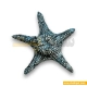 دکوری پلی استر آکواریوم ستاره دریایی 