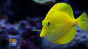 &Oslash;&cent;&Oslash;&acute;&Ugrave;&dagger;&Oslash;&sect;&Ucirc;&OElig;&Ucirc;&OElig; &Oslash;&uml;&Oslash;&sect; &Ugrave;&hellip;&Oslash;&sect;&Ugrave;&Dagger;&Ucirc;&OElig;&acirc;&euro;&OElig;&Ugrave;&Dagger;&Oslash;&sect;&Ucirc;&OElig; &Oslash;&cent;&Uacute;&copy;&Ugrave;&circ;&Oslash;&sect;&Oslash;&plusmn;&Ucirc;&OElig;&Ugrave;&circ;&Ugrave;&hellip;&Ucirc;&OElig; &Oslash;&cent;&Oslash;&uml; &Oslash;&acute;&Ugrave;&circ;&Oslash;&plusmn; &Ugrave;&circ; &Oslash;&acute;&Oslash;&plusmn;&Oslash;&sect;&Ucirc;&OElig;&Oslash;&middot; &Ugrave;&dagger;&Uacute;&macr;&Ugrave;&Dagger;&Oslash;&macr;&Oslash;&sect;&Oslash;&plusmn;&Ucirc;&OElig; &Oslash;&cent;&Ugrave;&dagger;&acirc;&euro;&OElig;&Ugrave;&Dagger;&Oslash;&sect;