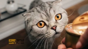 &Oslash;&uml;&Oslash;&plusmn;&Oslash;&sect;&Ucirc;&OElig; &Uacute;&macr;&Oslash;&plusmn;&Oslash;&uml;&Ugrave;&Dagger; &Uacute;&dagger;&Ugrave;&Dagger; &Uacute;&copy;&Ugrave;&dagger;&Oslash;&sup3;&Oslash;&plusmn;&Ugrave;&circ;&Ucirc;&OElig; &Oslash;&uml;&Oslash;&reg;&Oslash;&plusmn;&Ucirc;&OElig;&Ugrave;&hellip;&Oslash;&Yuml; 5 &Ugrave;&hellip;&Oslash;&sup2;&Oslash;&sect;&Ucirc;&OElig;&Oslash;&sect; &Ugrave;&circ; &Ugrave;&hellip;&Oslash;&sup1;&Oslash;&sect;&Ucirc;&OElig;&Oslash;&uml;