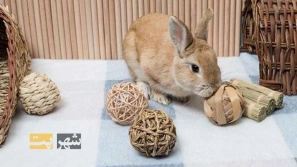 &Oslash;&uml;&Oslash;&sect;&Oslash;&sup2;&Ucirc;&OElig;&acirc;&euro;&OElig;&Ugrave;&Dagger;&Oslash;&sect; &Ugrave;&circ; &Oslash;&sect;&Oslash;&sup3;&Oslash;&uml;&Oslash;&sect;&Oslash;&uml;&acirc;&euro;&OElig;&Oslash;&uml;&Oslash;&sect;&Oslash;&sup2;&Ucirc;&OElig;&acirc;&euro;&OElig;&Ugrave;&Dagger;&Oslash;&sect;&Ucirc;&OElig; &Ugrave;&hellip;&Ugrave;&circ;&Oslash;&plusmn;&Oslash;&macr; &Oslash;&sup1;&Ugrave;&bdquo;&Oslash;&sect;&Ugrave;&sbquo;&Ugrave;&Dagger; &Oslash;&reg;&Oslash;&plusmn;&Uacute;&macr;&Ugrave;&circ;&Oslash;&acute;&acirc;&euro;&OElig;&Ugrave;&Dagger;&Oslash;&sect; &Oslash;&uml;&Oslash;&plusmn;&Oslash;&sect;&Ucirc;&OElig; &Oslash;&sup3;&Oslash;&plusmn;&Uacute;&macr;&Oslash;&plusmn;&Ugrave;&hellip;&Ucirc;&OElig; &Ugrave;&circ; &Ugrave;&Oslash;&sup1;&Oslash;&sect;&Ugrave;&bdquo;&Ucirc;&OElig;&Oslash;&ordf;