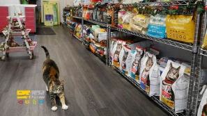 &Ucirc;&plusmn;&Ucirc;&deg; &Ugrave;&hellip;&Oslash;&shy;&Oslash;&micro;&Ugrave;&circ;&Ugrave;&bdquo; &Ugrave;&frac34;&Oslash;&plusmn;&Ugrave;&Oslash;&plusmn;&Ugrave;&circ;&Oslash;&acute; &Ugrave;&frac34;&Oslash;&ordf; &Oslash;&acute;&Oslash;&sect;&Ugrave;&frac34; &Ugrave;&Dagger;&Oslash;&sect; &Oslash;&uml;&Oslash;&plusmn;&Oslash;&sect;&Ucirc;&OElig; &Oslash;&sup3;&Uacute;&macr; &Ugrave;&circ; &Uacute;&macr;&Oslash;&plusmn;&Oslash;&uml;&Ugrave;&Dagger; &Oslash;&macr;&Oslash;&plusmn; &Oslash;&sup3;&Oslash;&sect;&Ugrave;&bdquo; &Ucirc;&plusmn;&Ucirc;&acute;&Ucirc;&deg;&Ucirc;&acute;