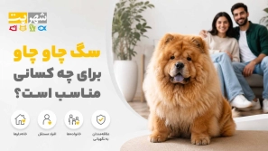 &Oslash;&sup3;&Uacute;&macr; &Uacute;&dagger;&Oslash;&sect;&Ugrave;&circ; &Uacute;&dagger;&Oslash;&sect;&Ugrave;&circ; | &Oslash;&uml;&Oslash;&plusmn;&Oslash;&plusmn;&Oslash;&sup3;&Ucirc;&OElig; &Uacute;&copy;&Oslash;&sect;&Ugrave;&hellip;&Ugrave;&bdquo; &Oslash;&acute;&Oslash;&reg;&Oslash;&micro;&Ucirc;&OElig;&Oslash;&ordf;&Oslash;&OElig; &Oslash;&ordf;&Oslash;&ordm;&Oslash;&deg;&Ucirc;&OElig;&Ugrave;&Dagger;&Oslash;&OElig; &Ugrave;&dagger;&Uacute;&macr;&Ugrave;&Dagger;&Oslash;&macr;&Oslash;&sect;&Oslash;&plusmn;&Ucirc;&OElig; &Ugrave;&circ; &Ugrave;&sbquo;&Ucirc;&OElig;&Ugrave;&hellip;&Oslash;&ordf; &Oslash;&ordf;&Ugrave;&circ;&Ugrave;&bdquo;&Ugrave;&Dagger;