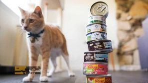 &Oslash;&uml;&Oslash;&plusmn;&Oslash;&sect;&Ucirc;&OElig; &Uacute;&macr;&Oslash;&plusmn;&Oslash;&uml;&Ugrave;&Dagger; &Uacute;&dagger;&Ugrave;&Dagger; &Uacute;&copy;&Ugrave;&dagger;&Oslash;&sup3;&Oslash;&plusmn;&Ugrave;&circ;&Ucirc;&OElig; &Oslash;&uml;&Oslash;&reg;&Oslash;&plusmn;&Ucirc;&OElig;&Ugrave;&hellip;&Oslash;&Yuml; 5 &Ugrave;&hellip;&Oslash;&sup2;&Oslash;&sect;&Ucirc;&OElig;&Oslash;&sect; &Ugrave;&circ; &Ugrave;&hellip;&Oslash;&sup1;&Oslash;&sect;&Ucirc;&OElig;&Oslash;&uml;