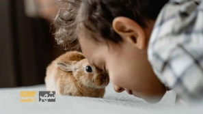 &Ugrave;&Dagger;&Ugrave;&hellip;&Ugrave;&Dagger; &Uacute;&dagger;&Ucirc;&OElig;&Oslash;&sup2; &Oslash;&macr;&Oslash;&plusmn;&Oslash;&uml;&Oslash;&sect;&Oslash;&plusmn;&Ugrave;&Dagger; &Oslash;&ordf;&Ugrave;&circ;&Ugrave;&bdquo;&Ucirc;&OElig;&Oslash;&macr; &Ugrave;&hellip;&Oslash;&laquo;&Ugrave;&bdquo; &Oslash;&reg;&Oslash;&plusmn;&Uacute;&macr;&Ugrave;&circ;&Oslash;&acute;&acirc;&euro;&OElig;&Ugrave;&Dagger;&Oslash;&sect;: &Oslash;&sect;&Oslash;&sup2; &Oslash;&not;&Ugrave;&Oslash;&ordf;&acirc;&euro;&OElig;&Uacute;&macr;&Ucirc;&OElig;&Oslash;&plusmn;&Ucirc;&OElig; &Oslash;&ordf;&Oslash;&sect; &Oslash;&ordf;&Ugrave;&circ;&Ugrave;&bdquo;&Oslash;&macr; &Oslash;&uml;&Uacute;&dagger;&Ugrave;&Dagger;&acirc;&euro;&OElig;&Oslash;&reg;&Oslash;&plusmn;&Uacute;&macr;&Ugrave;&circ;&Oslash;&acute;