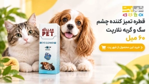 &Oslash;&uml;&Ugrave;&Dagger;&Oslash;&ordf;&Oslash;&plusmn;&Ucirc;&OElig;&Ugrave;&dagger; &Ugrave;&sbquo;&Oslash;&middot;&Oslash;&plusmn;&Ugrave;&Dagger; &Oslash;&uml;&Oslash;&plusmn;&Oslash;&sect;&Ucirc;&OElig; &Oslash;&sup1;&Ugrave;&Ugrave;&circ;&Ugrave;&dagger;&Oslash;&ordf; &Uacute;&dagger;&Oslash;&acute;&Ugrave;&hellip; &Oslash;&sup3;&Uacute;&macr;&Oslash;&rsaquo; &Oslash;&macr;&Oslash;&plusmn;&Ugrave;&hellip;&Oslash;&sect;&Ugrave;&dagger; &Oslash;&sup1;&Ugrave;&Ugrave;&circ;&Ugrave;&dagger;&Oslash;&ordf;&Oslash;&OElig; &Ugrave;&sbquo;&Oslash;&plusmn;&Ugrave;&hellip;&Oslash;&sup2;&Ucirc;&OElig; &Ugrave;&circ; &Oslash;&ordf;&Oslash;&plusmn;&Oslash;&acute;&Oslash;&shy; &Uacute;&dagger;&Oslash;&acute;&Ugrave;&hellip;