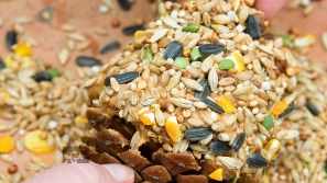 Ø¨ÙØªØ±ÛÙ ØºØ°Ø§Û Ù¾Ø±ÙØ¯Ù خاÙÚ¯Û ÚÛØ³ØªØ Ù
Ø²Ø§ÛØ§Ø Ù
Ø¹Ø§ÛØ¨ Ù Ù
عرÙÛ Ø¨Ø±ÙØ¯