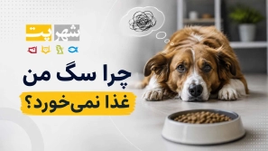 &Uacute;&dagger;&Oslash;&plusmn;&Oslash;&sect; &Oslash;&sup3;&Uacute;&macr; &Ugrave;&hellip;&Ugrave;&dagger; &Oslash;&ordm;&Oslash;&deg;&Oslash;&sect; &Ugrave;&dagger;&Ugrave;&hellip;&Ucirc;&OElig; &Oslash;&reg;&Ugrave;&circ;&Oslash;&plusmn;&Oslash;&macr;&Oslash;&Yuml; 9 &Oslash;&macr;&Ugrave;&bdquo;&Ucirc;&OElig;&Ugrave;&bdquo; &Oslash;&uml;&Ucirc;&OElig; &Oslash;&sect;&Oslash;&acute;&Oslash;&ordf;&Ugrave;&Dagger;&Oslash;&sect;&Ucirc;&OElig;&Ucirc;&OElig; &Oslash;&sup3;&Uacute;&macr; &Ugrave;&circ; &Oslash;&plusmn;&Oslash;&sect;&Ugrave;&Dagger; &Oslash;&shy;&Ugrave;&bdquo; &Oslash;&cent;&Ugrave;&dagger;