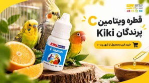 &Ugrave;&circ;&Ucirc;&OElig;&Oslash;&ordf;&Oslash;&sect;&Ugrave;&hellip;&Ucirc;&OElig;&Ugrave;&dagger; C &Oslash;&uml;&Oslash;&plusmn;&Oslash;&sect;&Ucirc;&OElig; &Oslash;&sect;&Oslash;&sup3;&Oslash;&ordf;&Oslash;&plusmn;&Oslash;&sup3; &Ugrave;&frac34;&Oslash;&plusmn;&Ugrave;&dagger;&Oslash;&macr;&Ugrave;&Dagger; &Ugrave;&hellip;&Ugrave;&Ucirc;&OElig;&Oslash;&macr; &Oslash;&sect;&Oslash;&sup3;&Oslash;&ordf;&Oslash;&Yuml;
