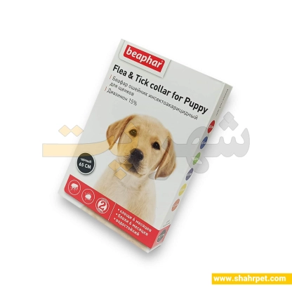 قلاده ضد کک و کنه سگ بیفار ۶۵ سانتی مشکی