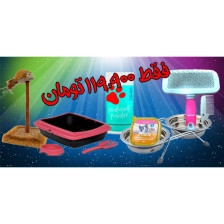 پک شگفت انگیز گربه