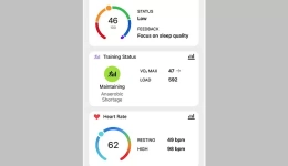 ارتقای مفید Garmin connect با قابلیت Light Mode!