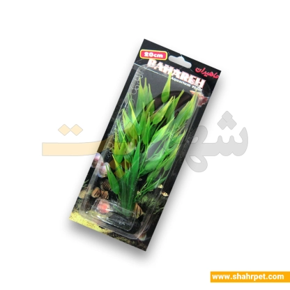 گیاه آکواریوم بهاره 20cm M03 ماهیران