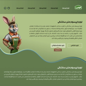 طراحی وب سایت سالاد مریس