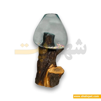 تنگ دکوری ماهی با استند چوبی کد TSh06